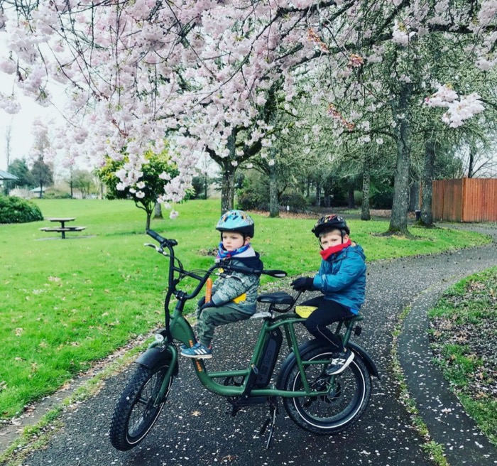 radrunner-family-bike